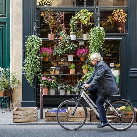 Rue Du Vieux Colombier Iii דירה